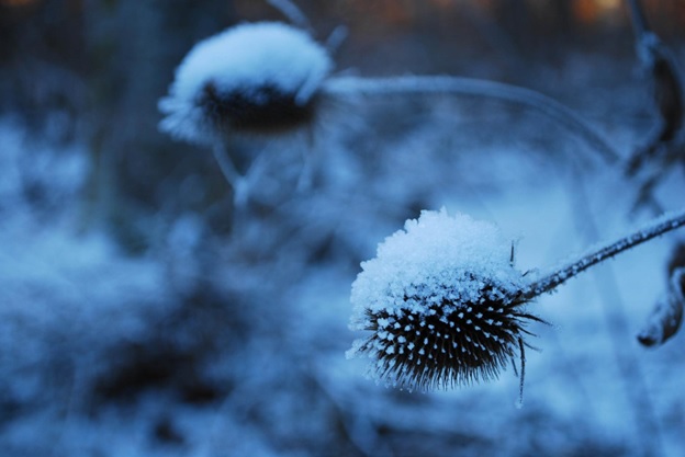 Tackling Winter Blues: Our Top Tips
